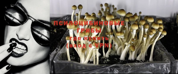 кокс Абинск